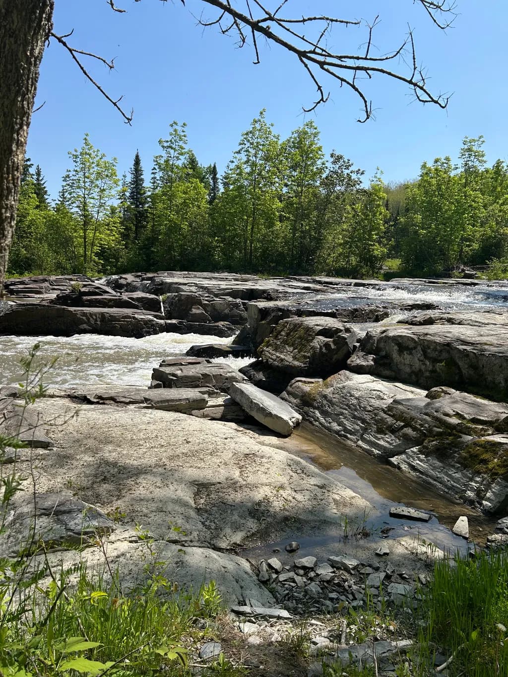 Serenity by the River: A Tranquil Landscape of Rocks, Water, and Trees Under a Clear Sky