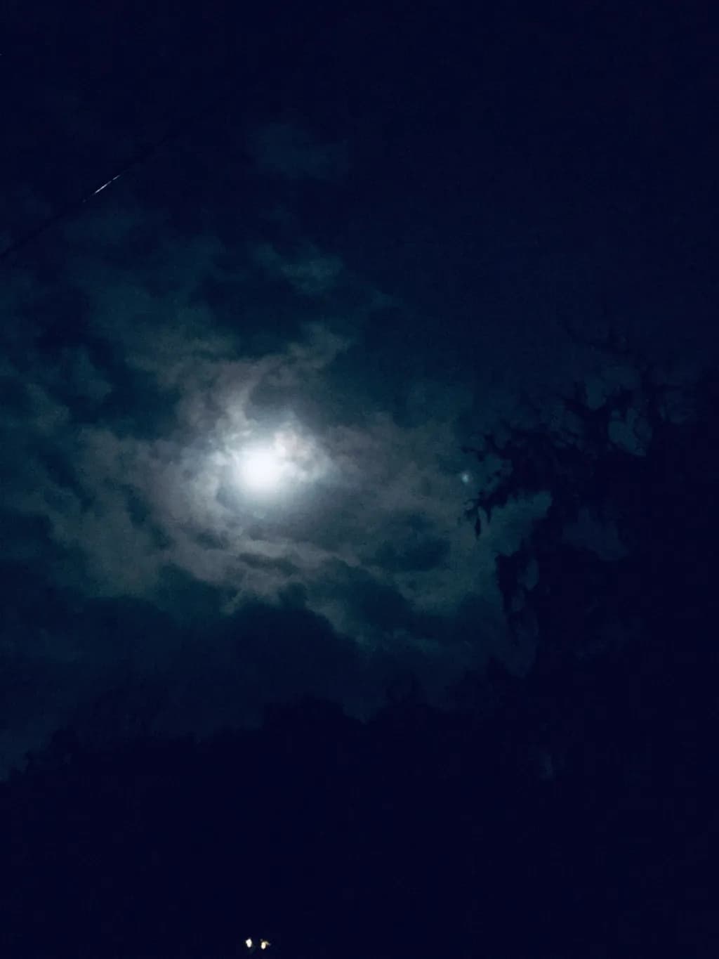 Moonlit Whispers: A Serene Night Under the Veil of Clouds