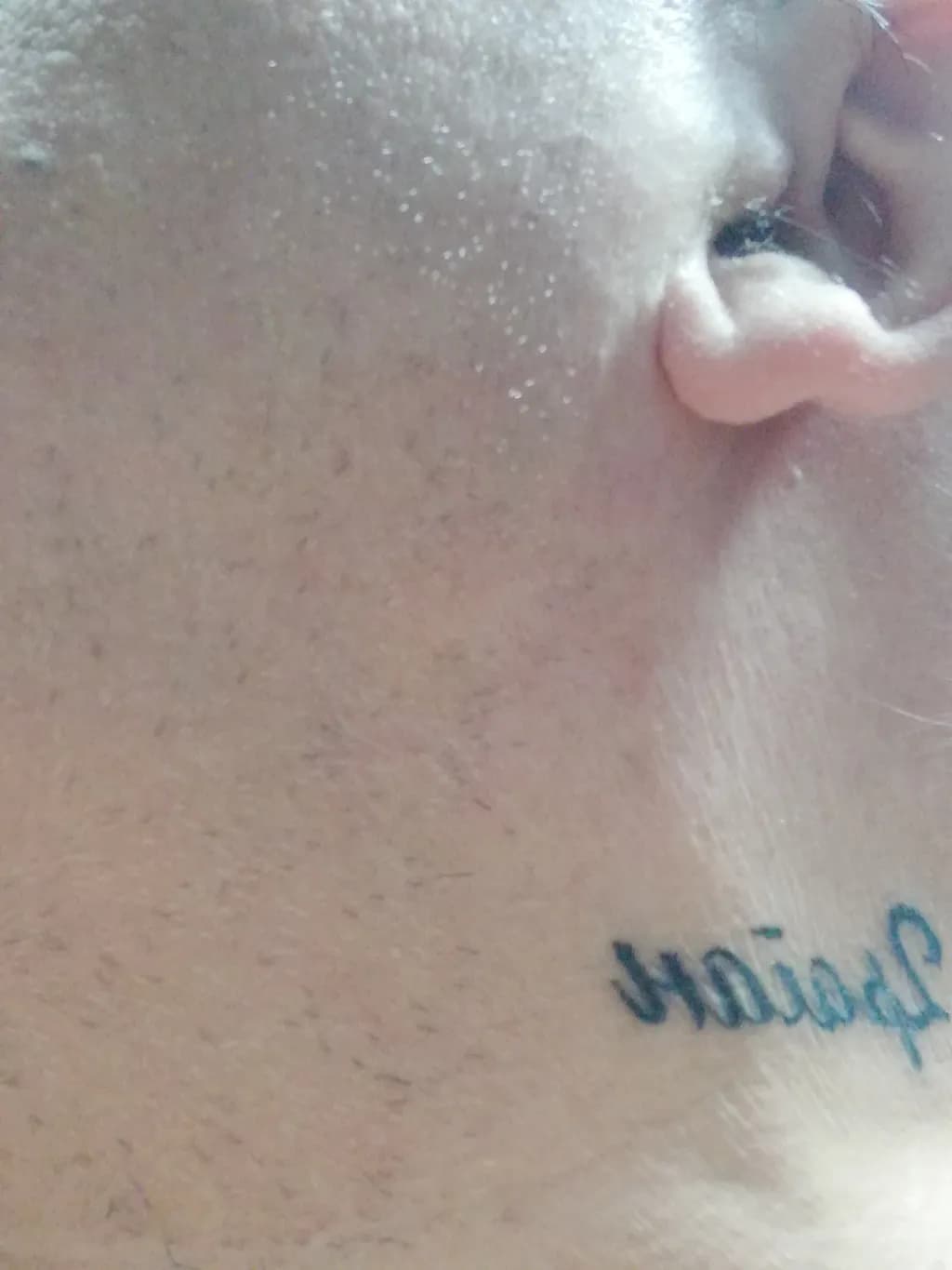 Eternal Ink: A Journey of Passion and Identity