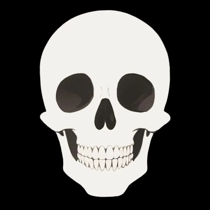 Ethereal Elegance: The Timeless Skull in Monochrome Artistry