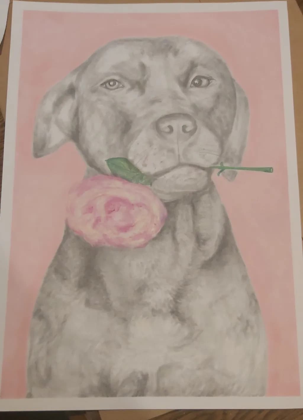 Whimsical Canine Elegance: A Gray Dog with a Pink Rose Portrait