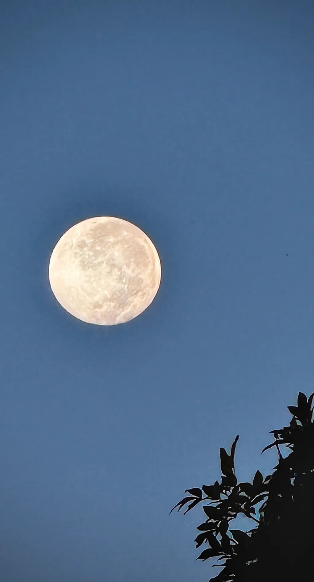 Moonlit Serenity: A Calm Night Sky Landscape