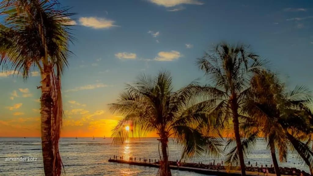 Palm Sunset Horizon