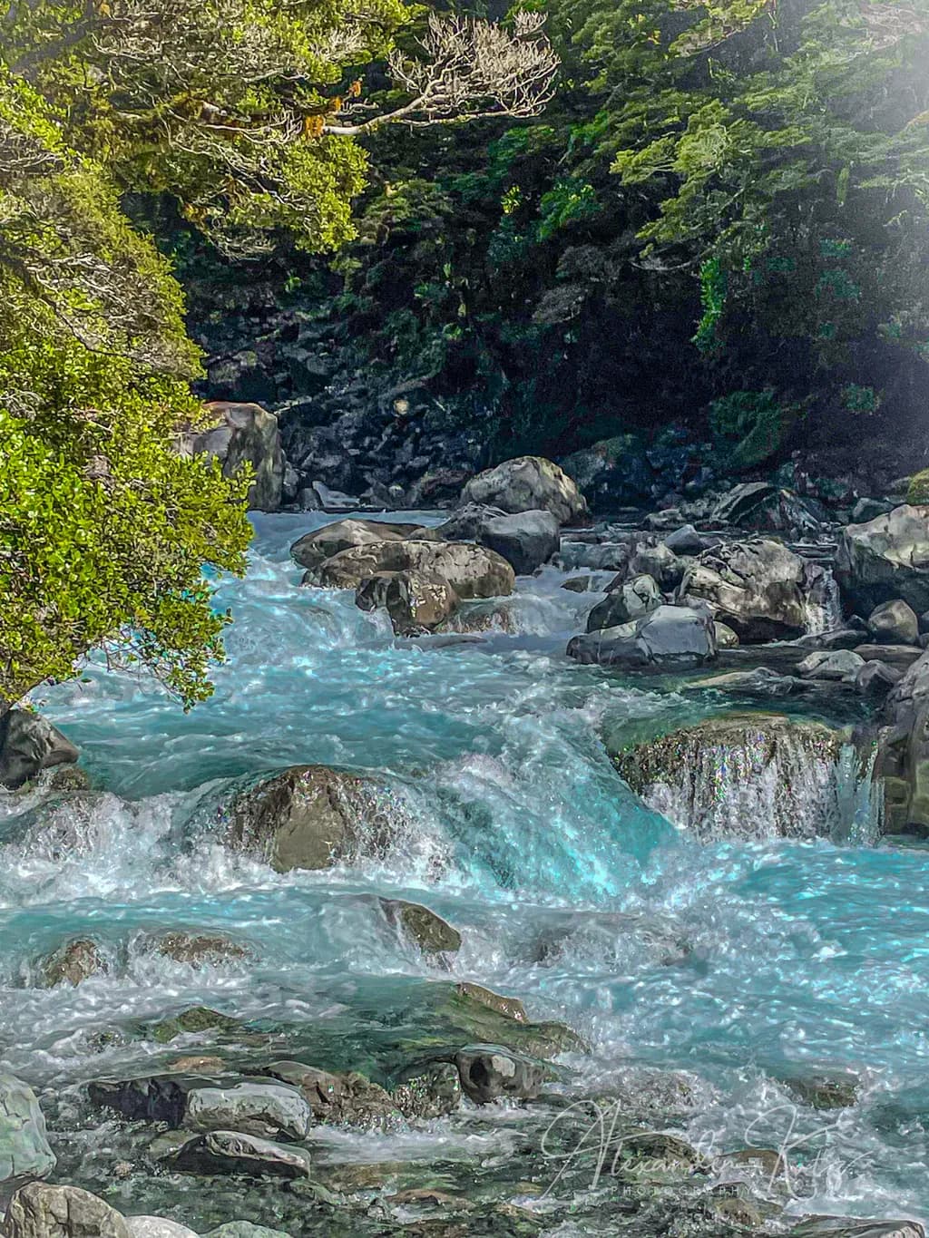 Serenity in Motion: A Tranquil River's Dance Through Nature's Embrace