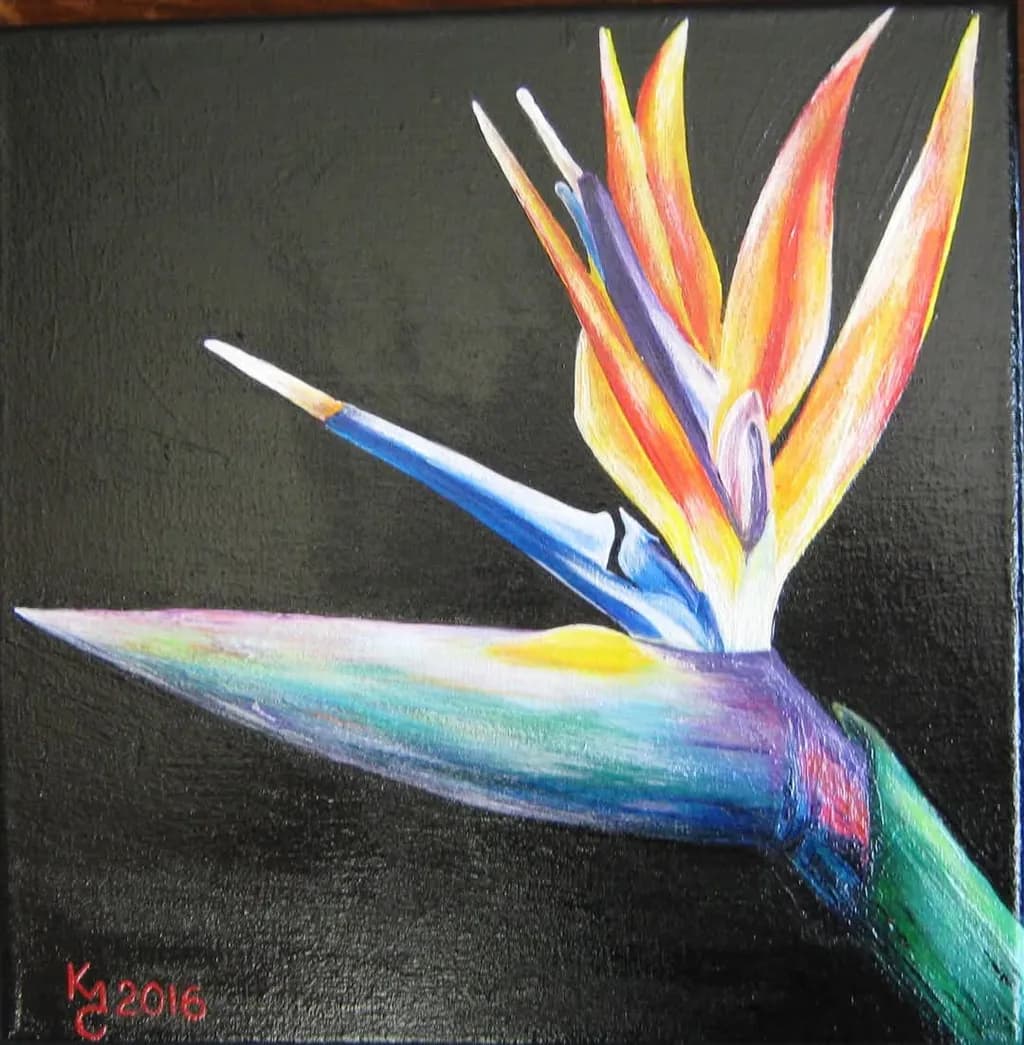 Vibrant Elegance: A Tropical Bird of Paradise in Bloom