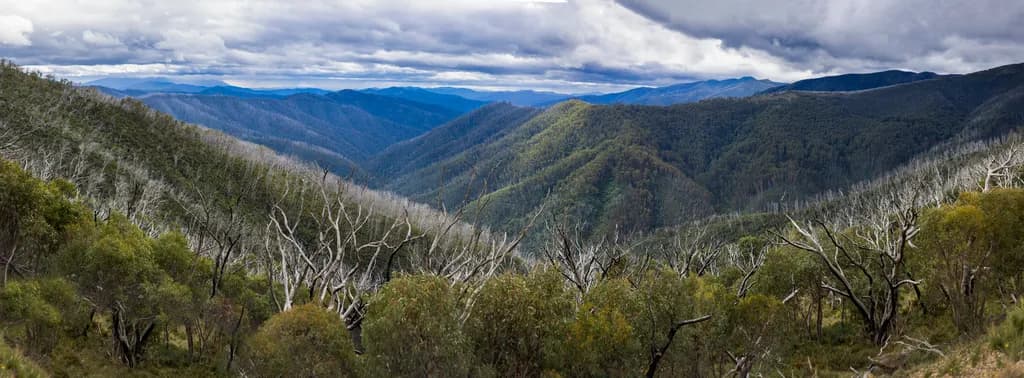 Breathtaking Mountain Scenery for Nature Lovers