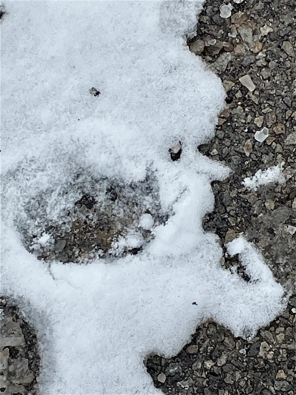 Whispers of Winter: A Snowy Embrace on the Ground