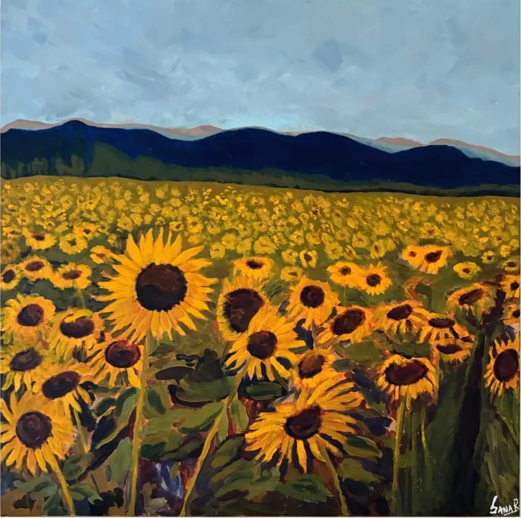 Sunflower Field Mountains