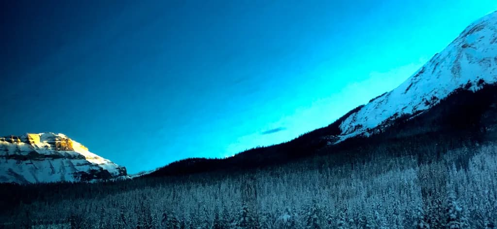 Winter Majesty
