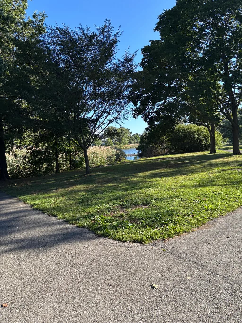 Serenity by the Water: A Tranquil Park Scene Under Clear Skies