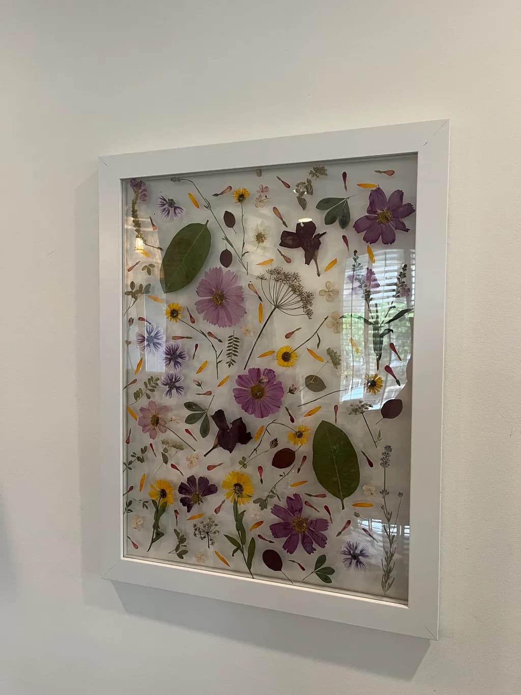 Whispers of Nature: A Floral Symphony in Pressed Botanicals