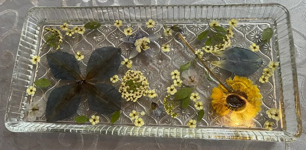 Whispers of Nature: A Tranquil Floral Pressed Art Display