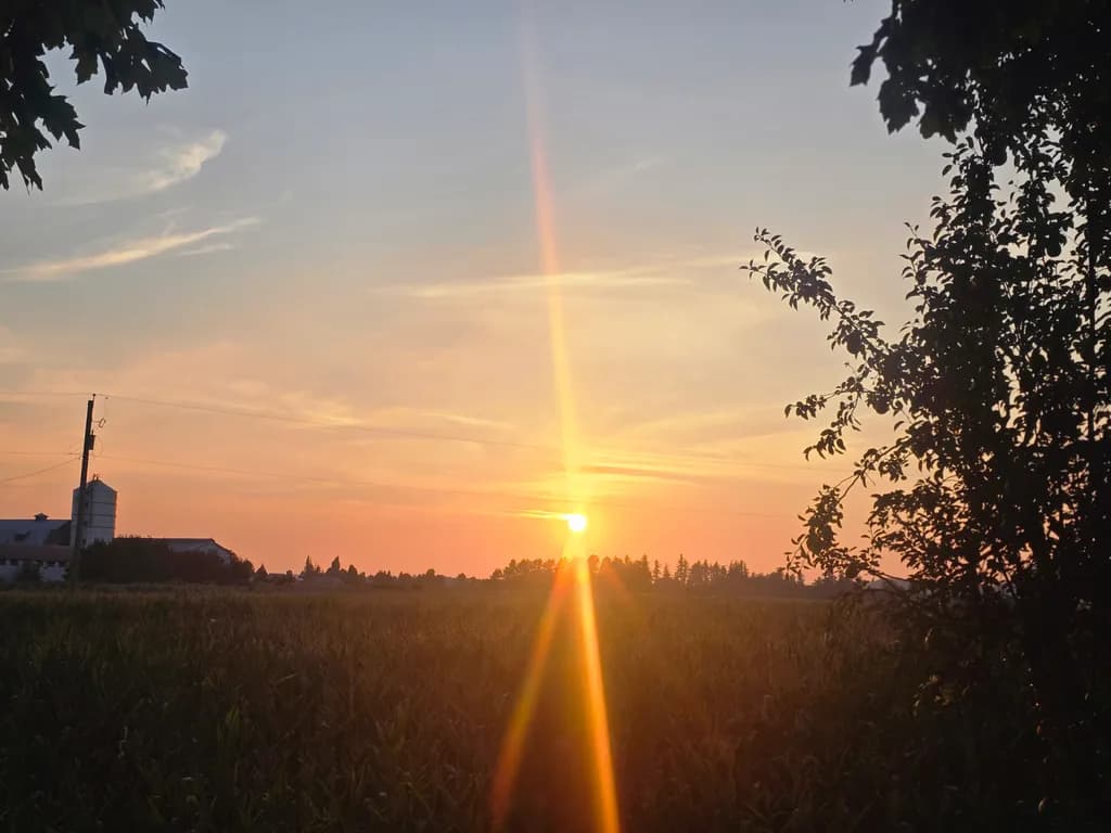 Serene Sunset Over Golden Fields: A Tranquil Landscape Experience