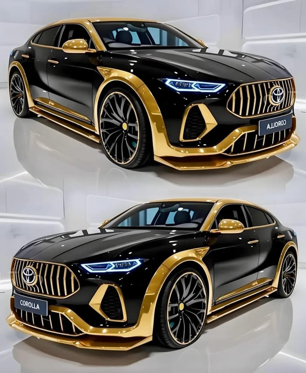 Black and Gold Corolla