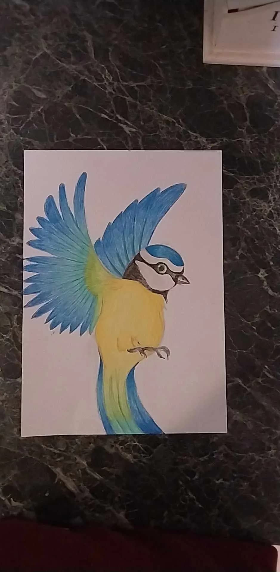 Vibrant Blue Jay in Flight: A Colorful Celebration of Nature's Beauty