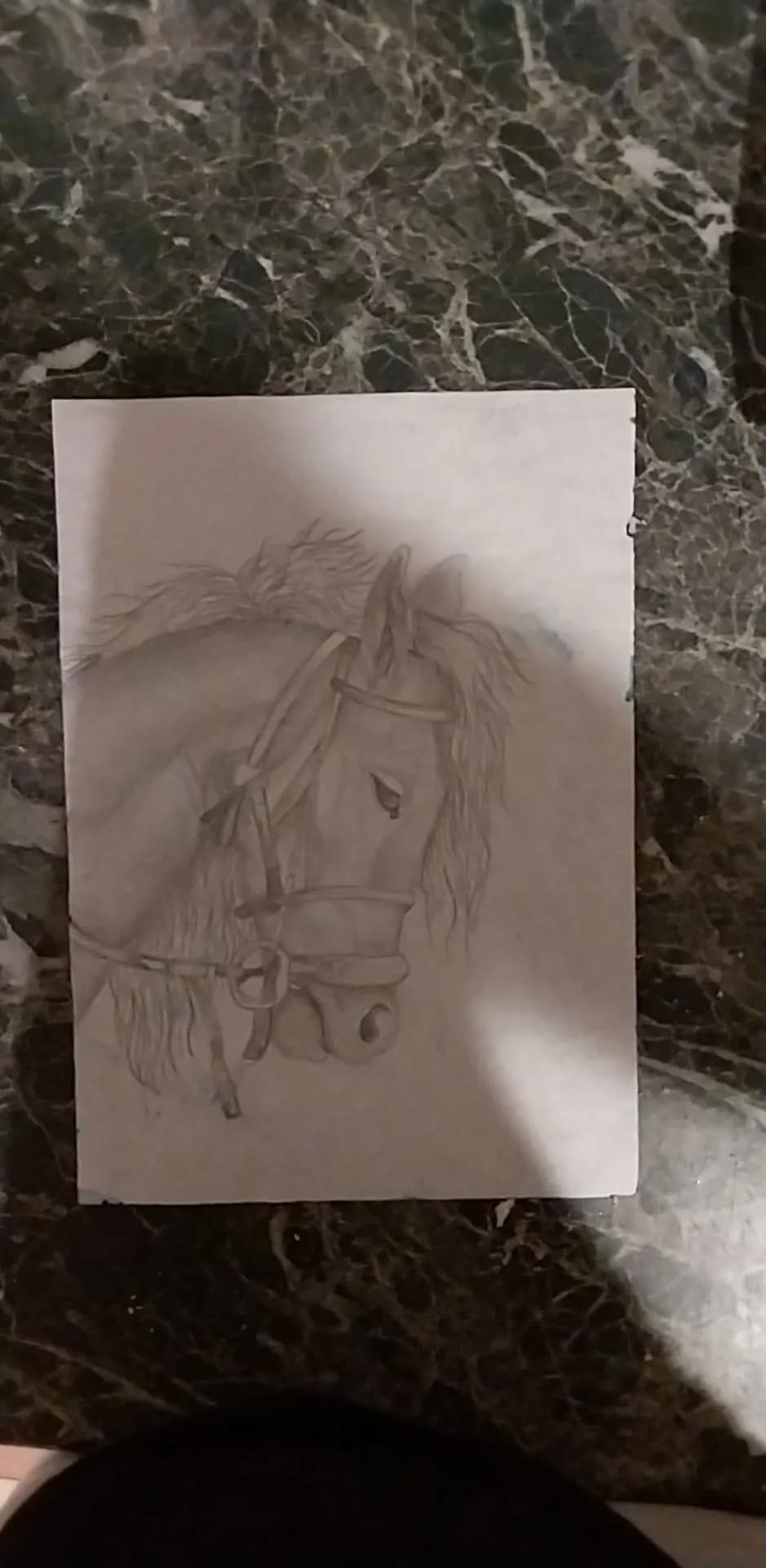 Majestic Equine Portrait: A Detailed Study of a Horse's Grace and Strength