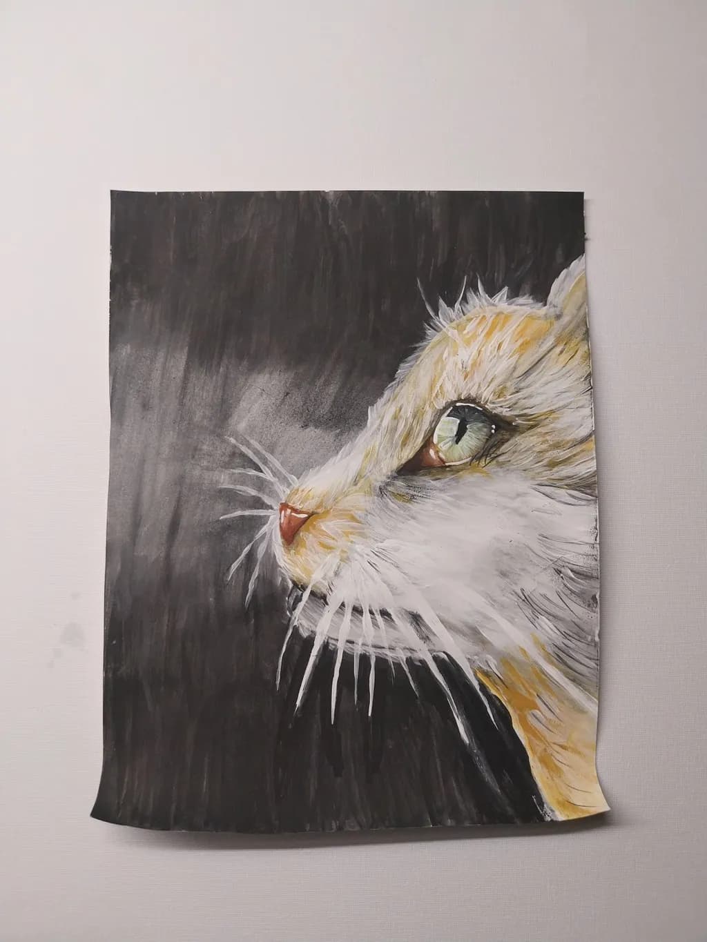 Whiskered Serenity: A Realistic Portrait of a Cat's Expression