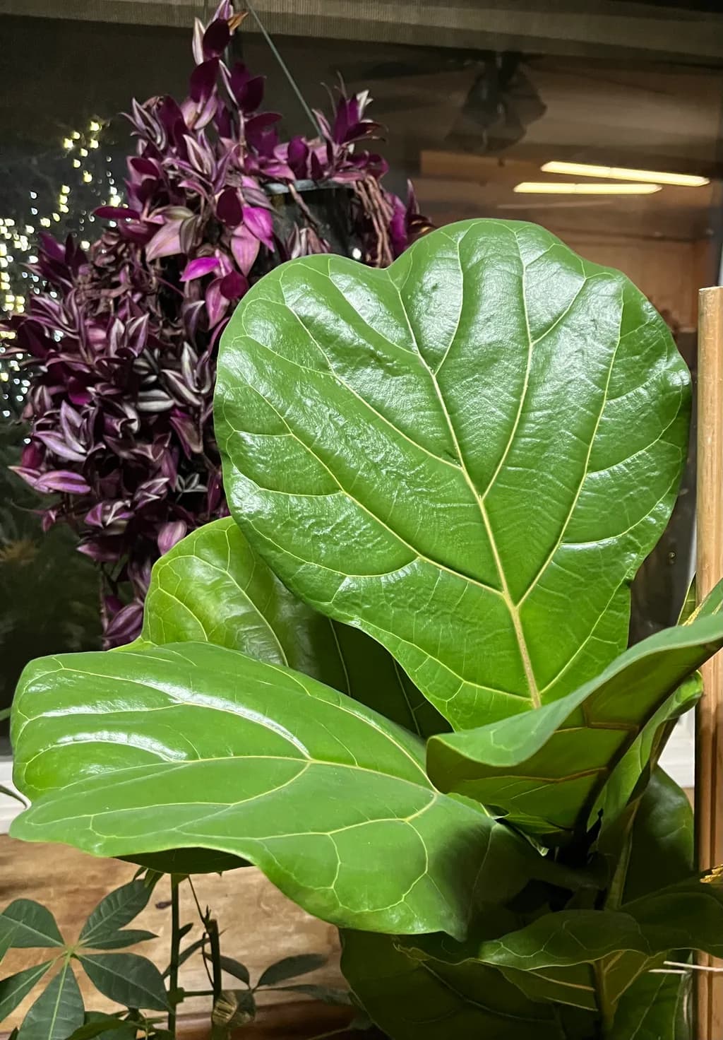 Heartfelt Foliage