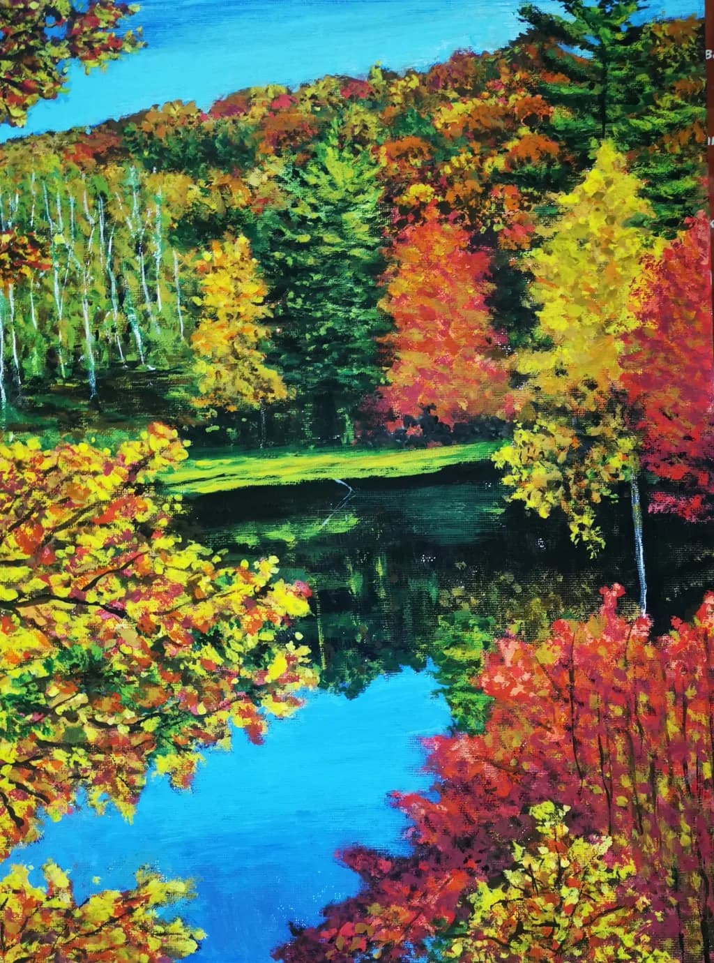 Autumn Reflections: A Vibrant Tapestry of Color and Serenity in Nature's Embrace
