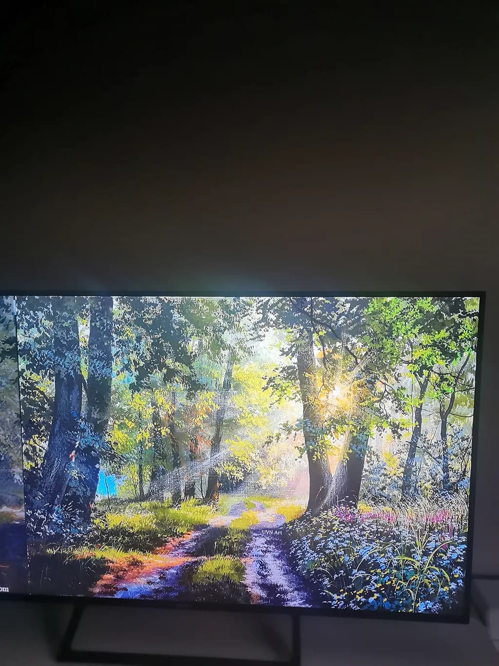 Whispers of the Forest: A Serene Pathway Through Nature's Embrace