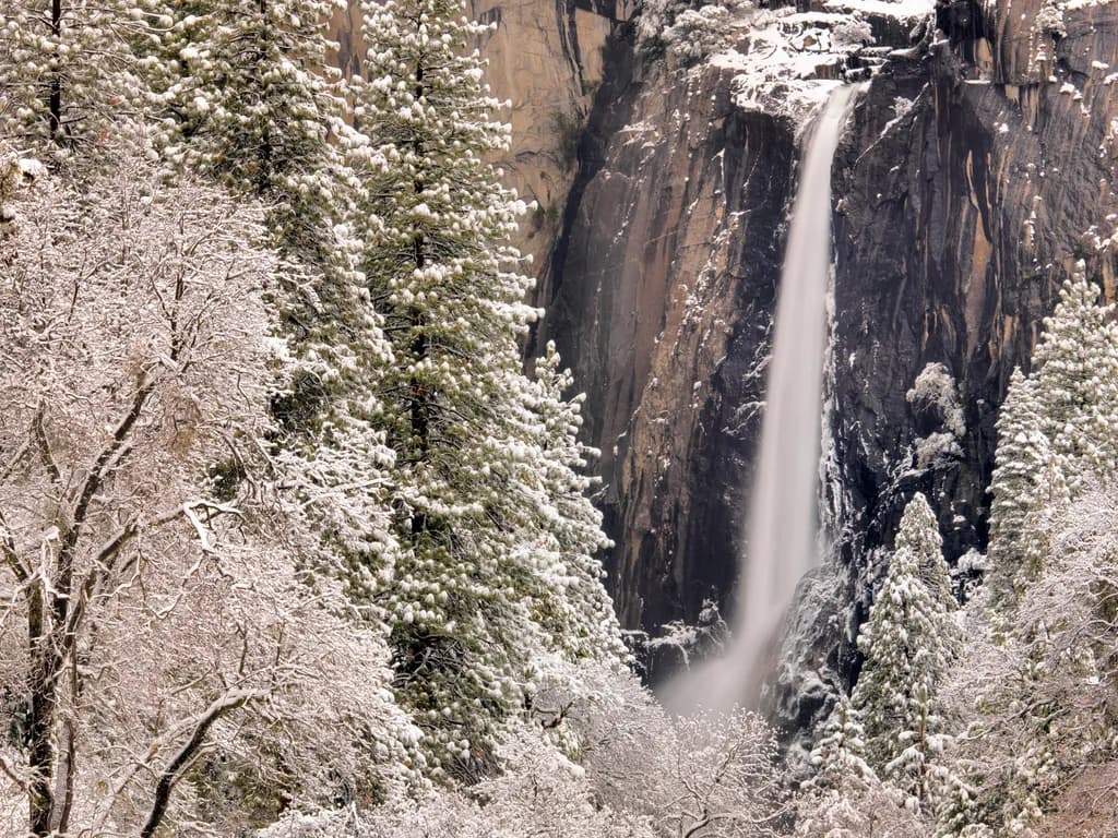 Whispers of Winter: A Majestic Waterfall Amidst Snow-Covered Pines