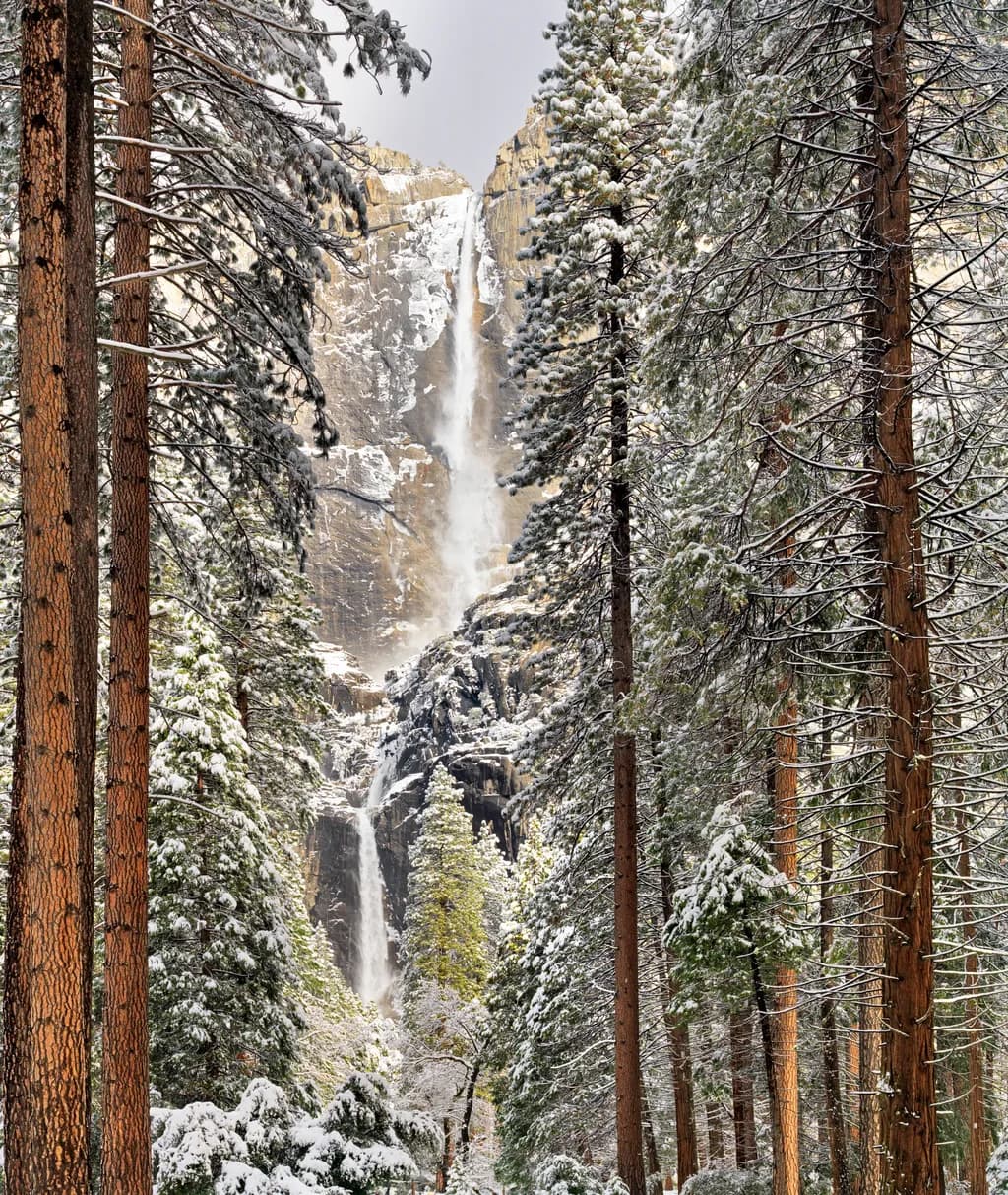 Whispers of Winter: A Majestic Waterfall Amidst Snow-Capped Pines