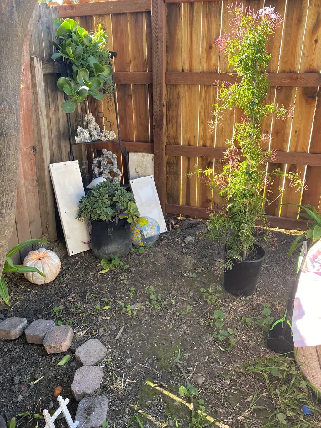 Garden Oasis