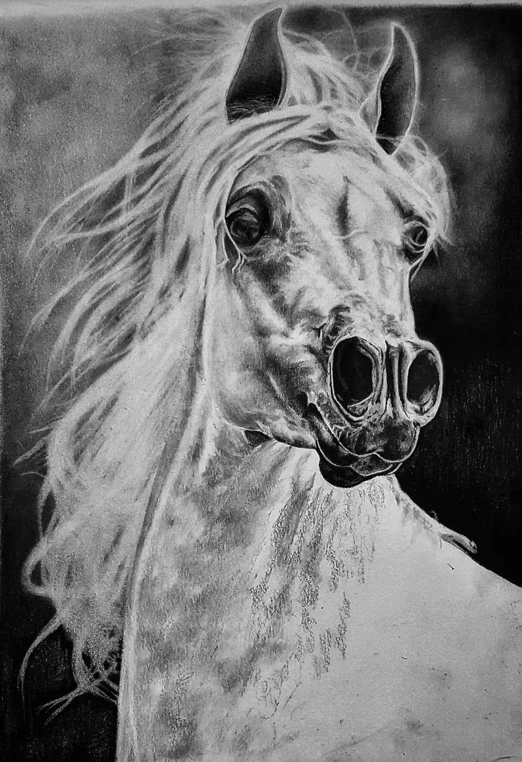 Majestic Monochrome: The Soulful Portrait of a Horse