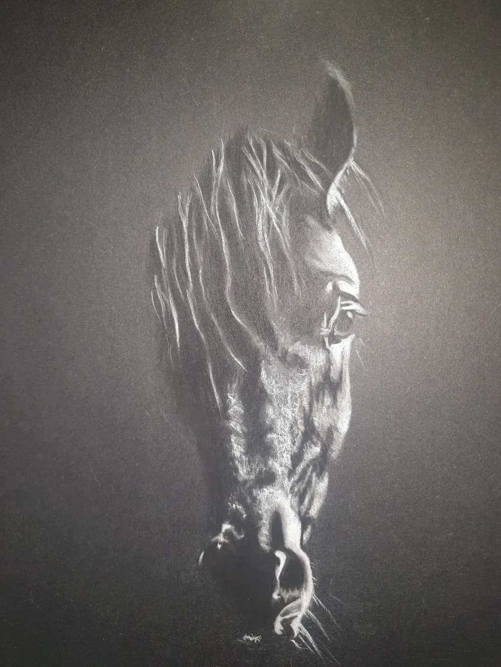 Whispers of the Monochrome: A Realistic Portrait of Equine Majesty