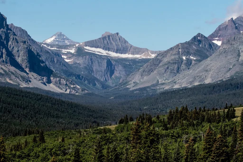 Montana Mountain Forest