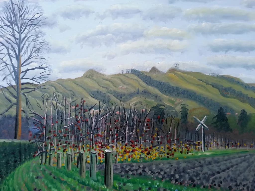 Havelock Hills