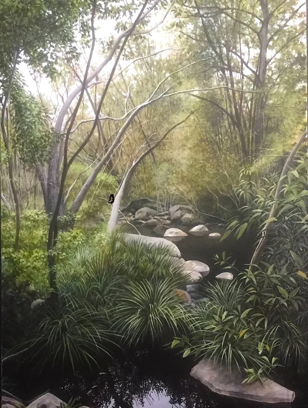Billabong Wooroonoran Mob Country