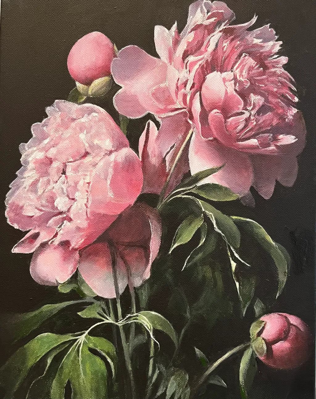 Pink Peonies