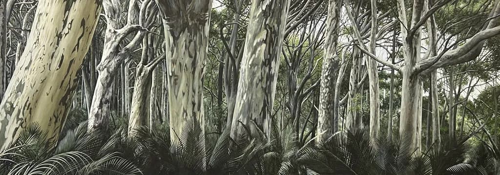 Eucalyptus Forest Study