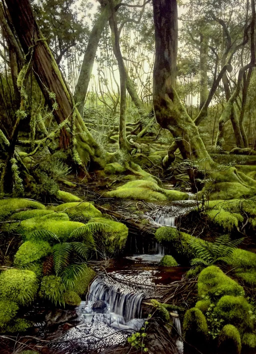 Mossy Forest Stream