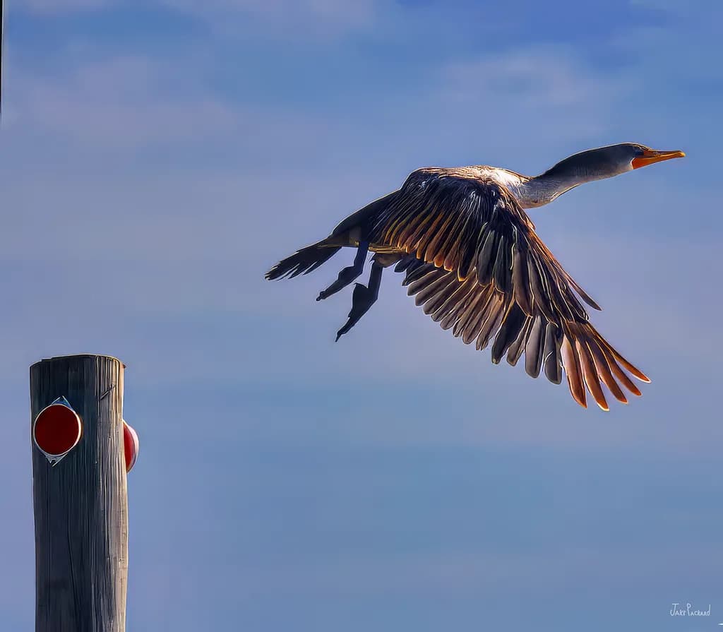 Take Off