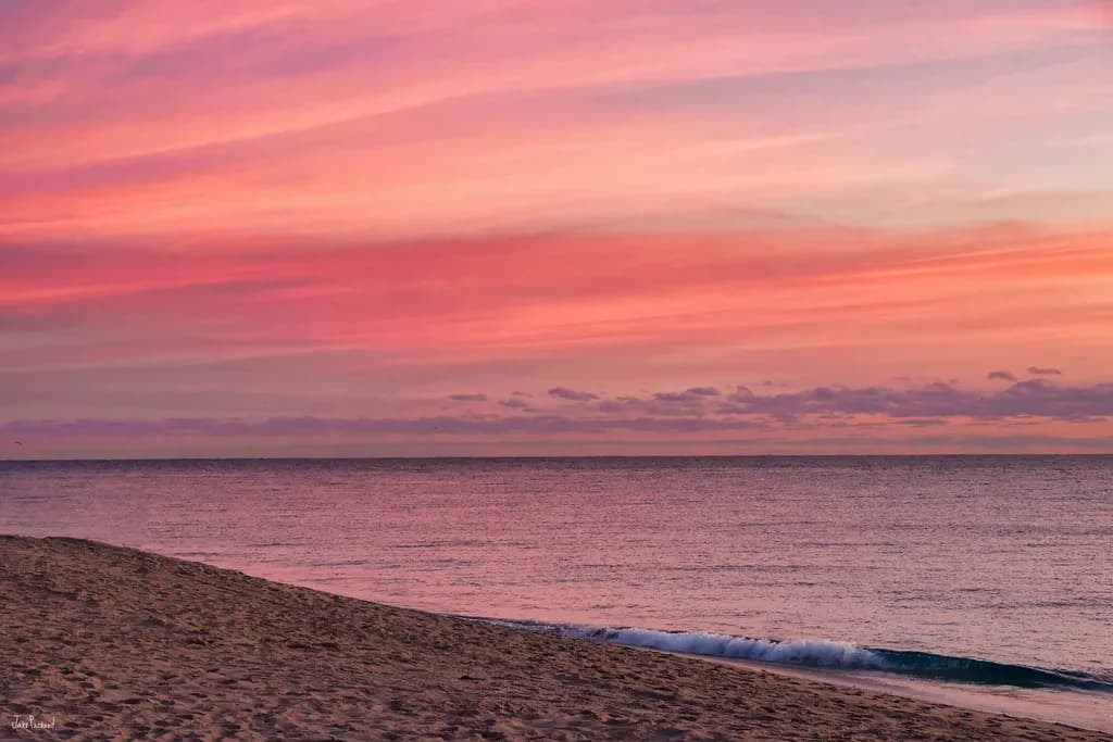 Calm Pink Sunset