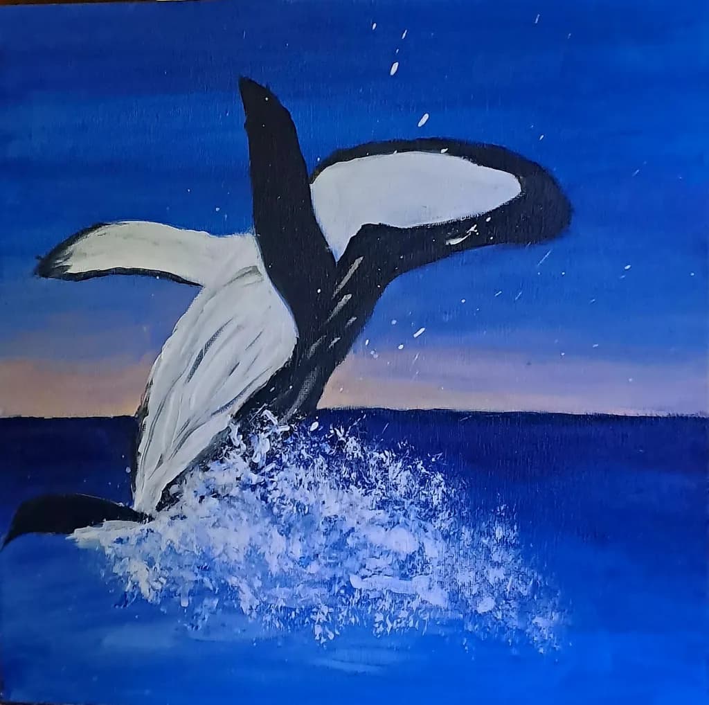 Whale Splash