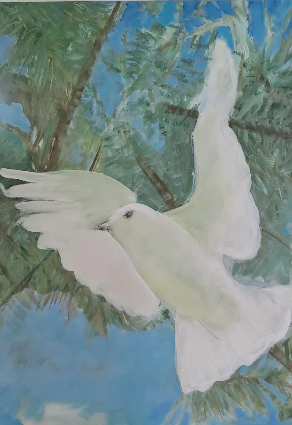 Soaring Dove