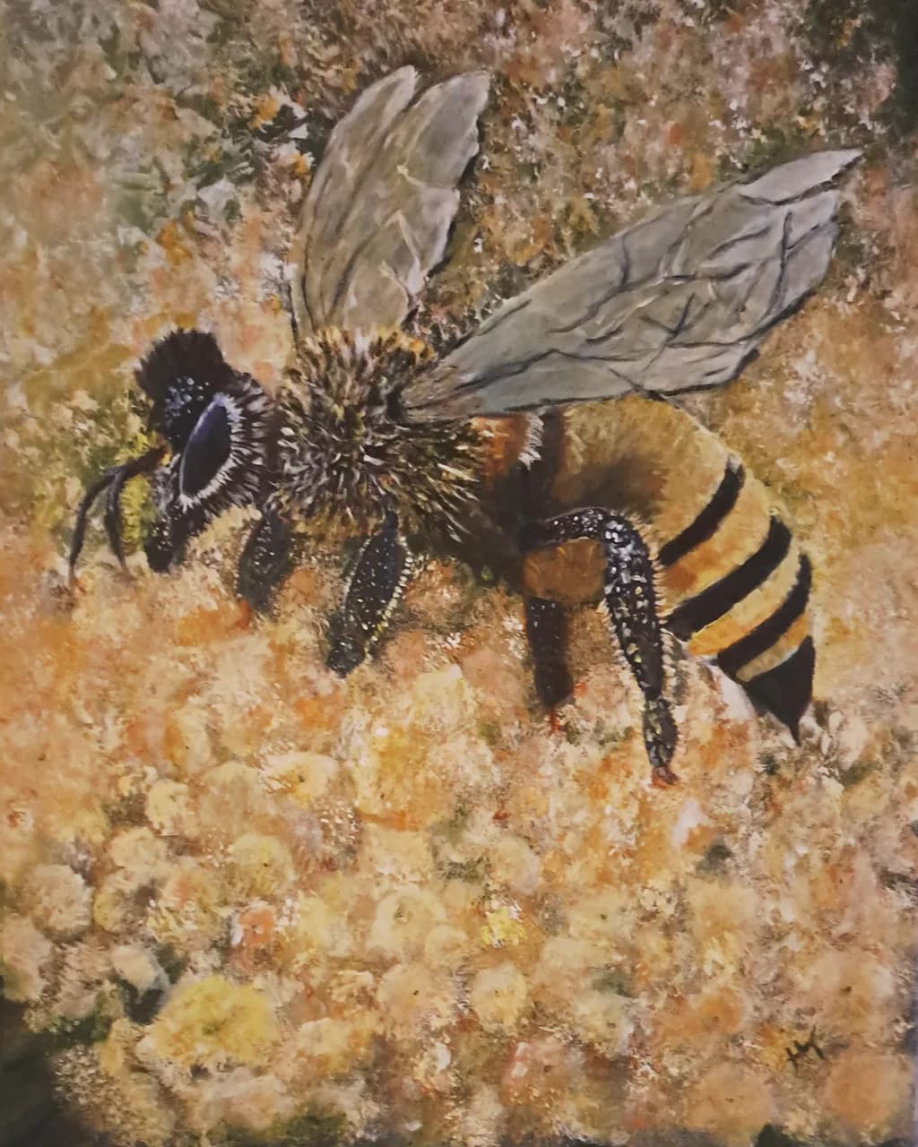 Honeybee Harmony