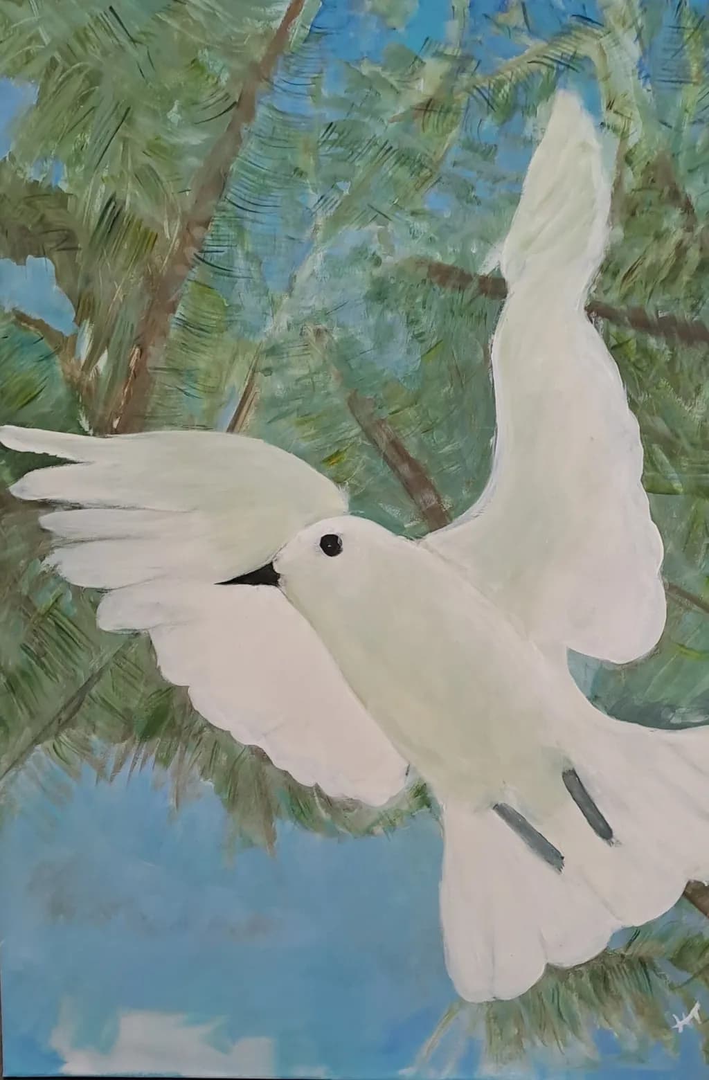 Soaring White Bird