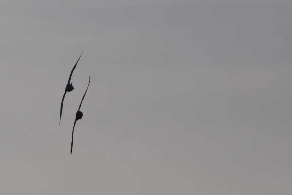 Perfect Formation