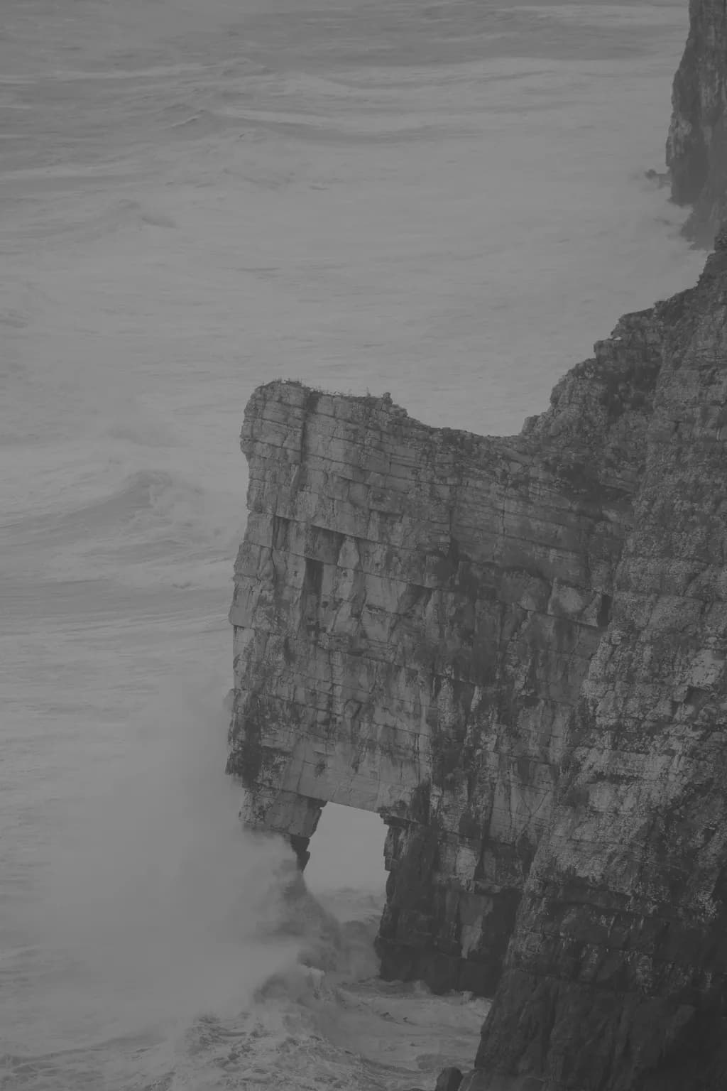 Bempton Cliffs