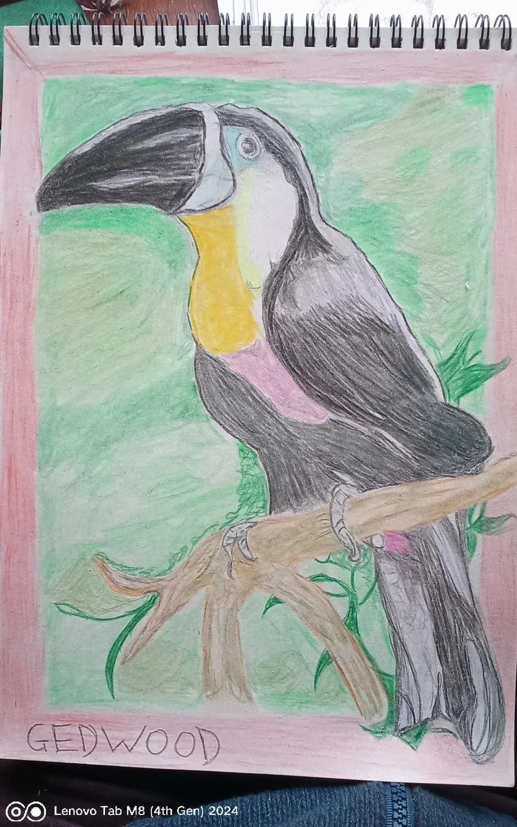 Tropical Elegance: A Vibrant Portrait of a Toucan Perched in Nature
