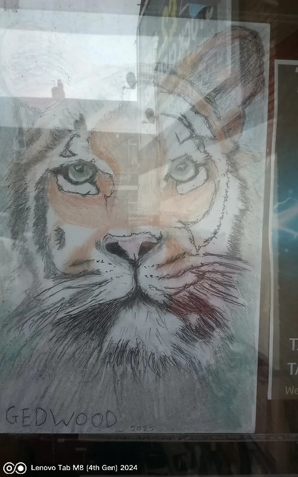 Majestic Gaze: A Tiger's Portrait in Pastel and Pencil