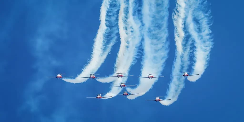 Snowbirds Flight Display
