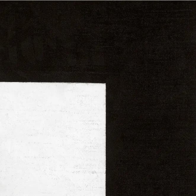 Monochrome Harmony: A Dance of Black and White in Minimalist Art