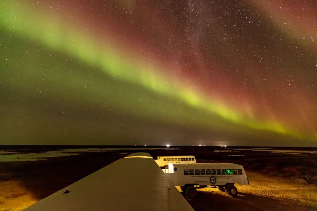 Aurora Adventures: Chasing the Northern Lights Under a Starry Sky