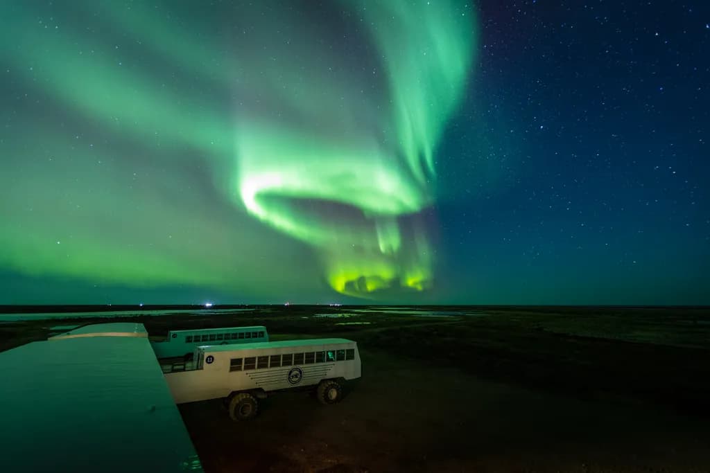 Whispers of the Aurora: A Dance of Light and Wonder in the Night Sky