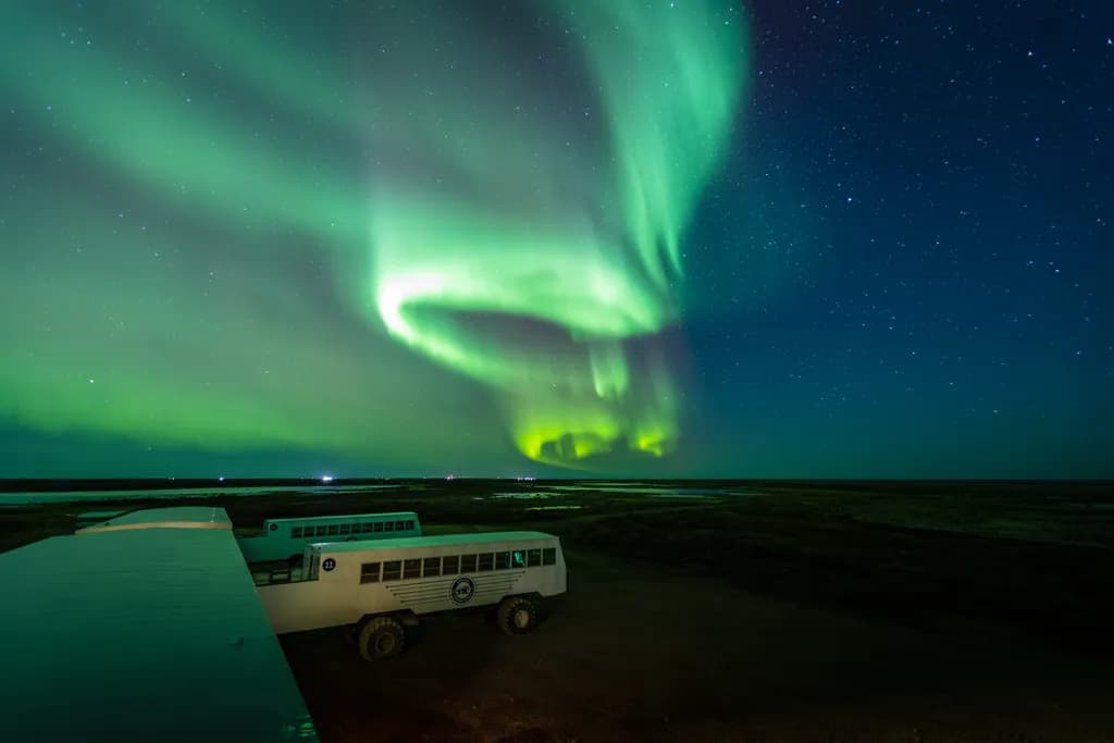 Whispers of the Aurora: A Dance of Light and Wonder in the Night Sky